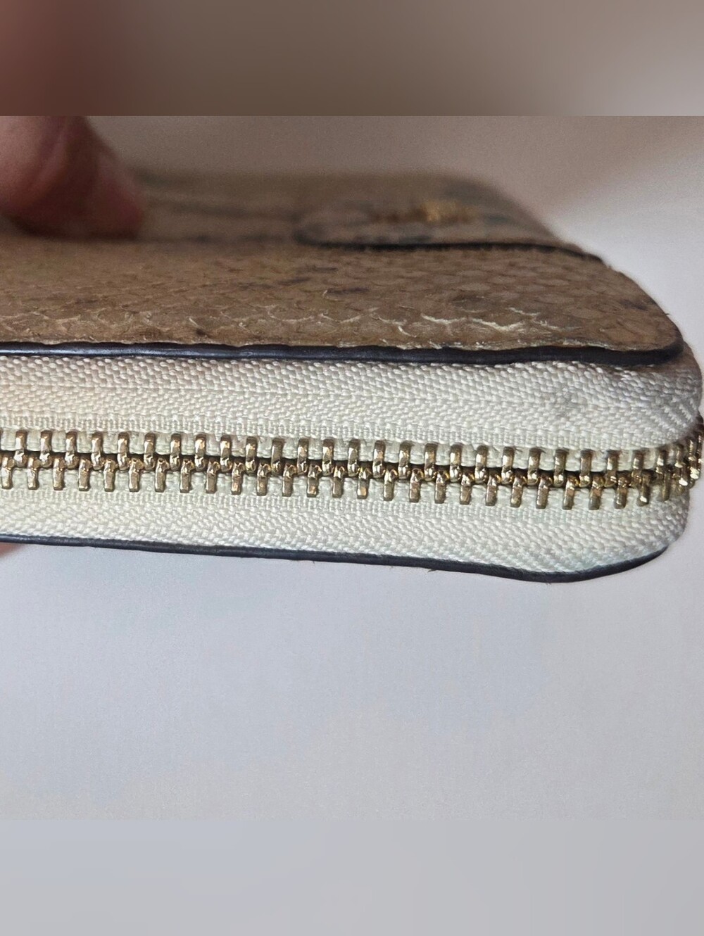 Coach Madison Python-Embossed Leather Accordion Zip Wallet - Picture 6 of 14